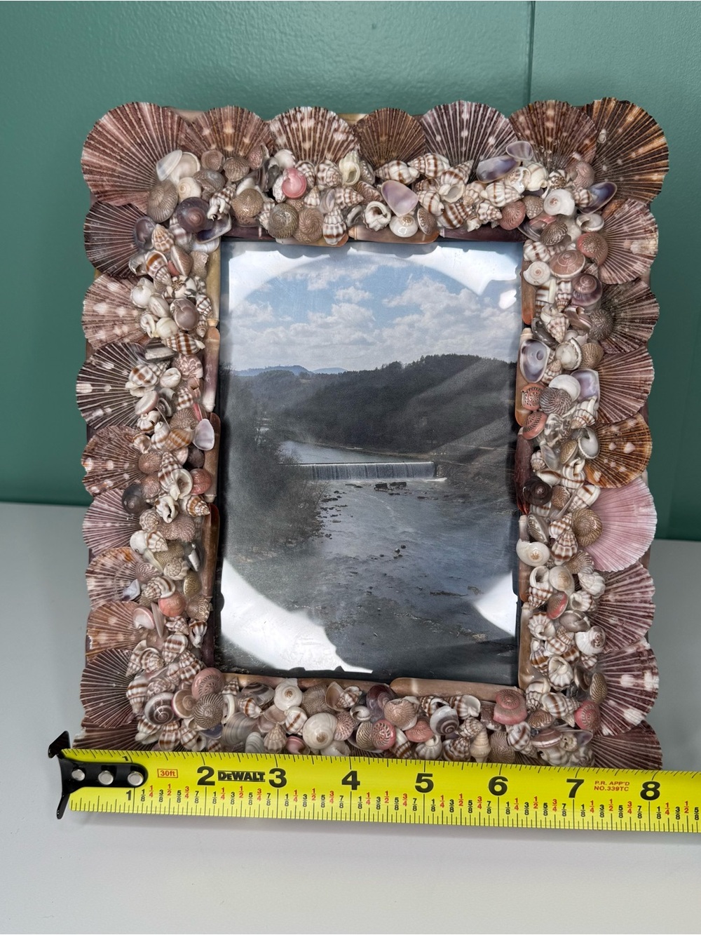 Seashell Shell Photo Picture Frame Natural Coastal Beachy Beach House Decor - Picture 14 of 16